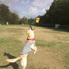 の写真