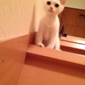 生まれつき右手首が…、でも元気いっぱい男の子！