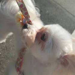 「綺麗になりました」サムネイル2