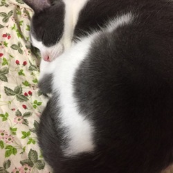 久しぶりの近況です