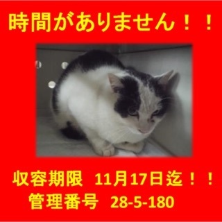 緊急！！じかんがありません！