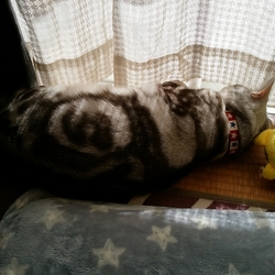 「久々の…」サムネイル2