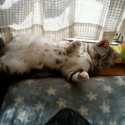 「久々の…」サムネイル3