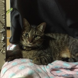 三半規管正常化(o^^o)