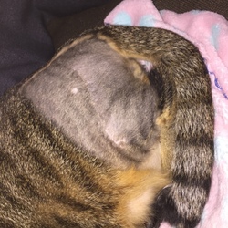 「三半規管正常化(o^^o)」サムネイル2