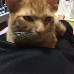 「三半規管正常化(o^^o)」サムネイル3