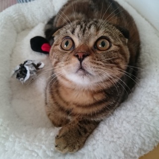 （沢山のご応募感謝いたします）可愛い女の子