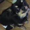 卍ふみぇもん卍