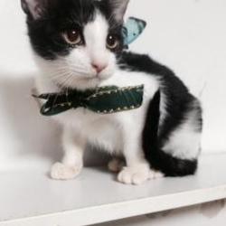 「ながお君、幼児体型から本当の太めに(泣)」サムネイル3