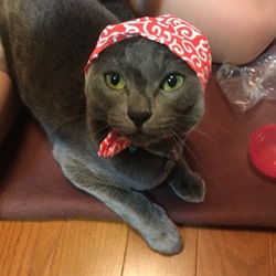 やっと見つけましたよ