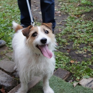 里親が決まりました！！