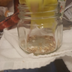 「必死です。」サムネイル3