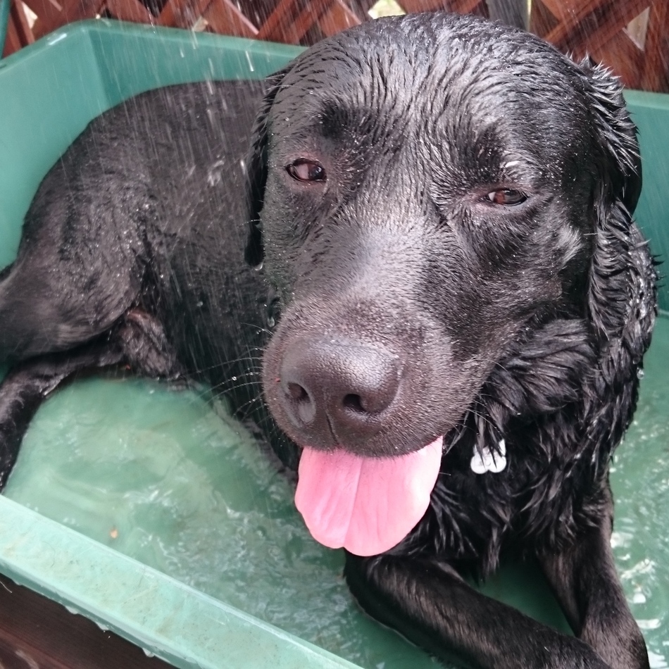 じおんのカバー写真