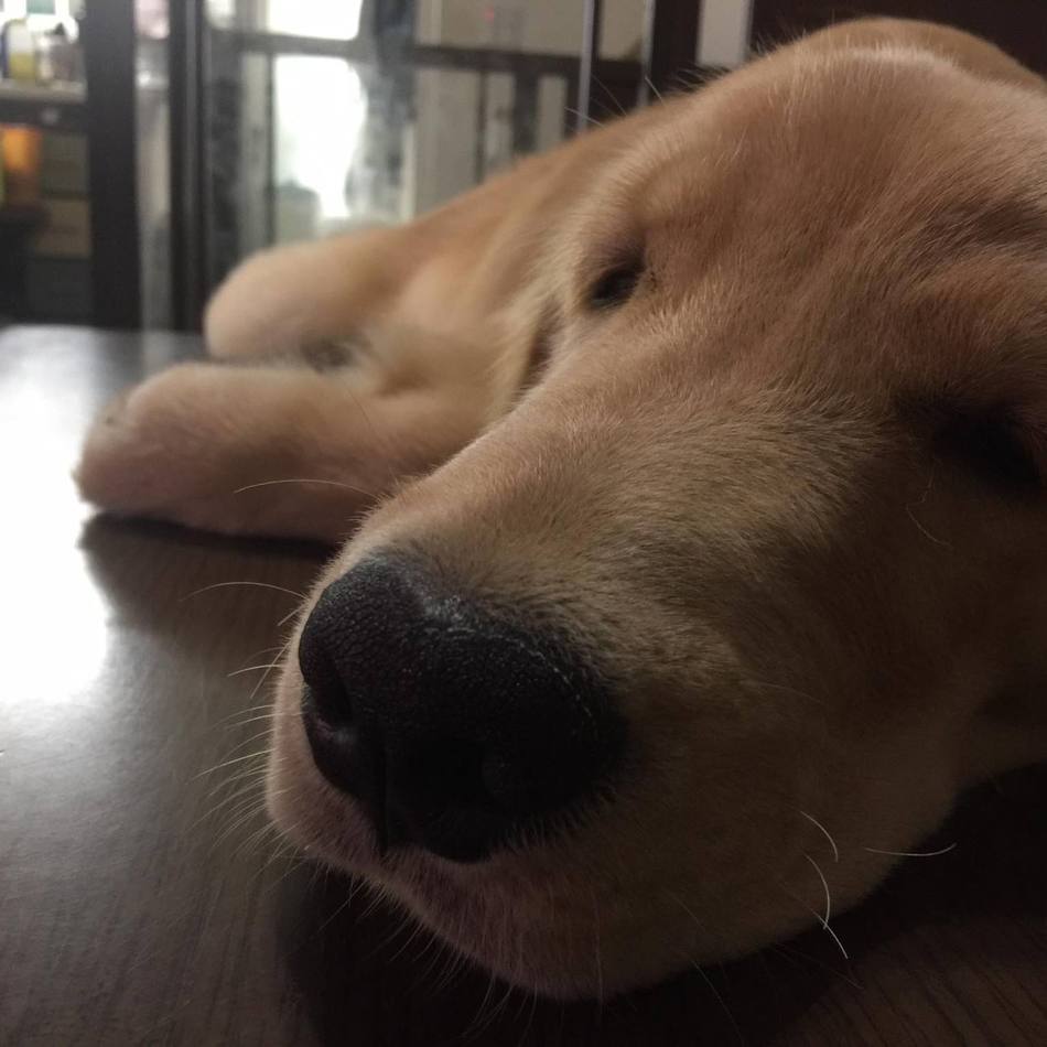 ロンのカバー写真