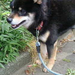 「動物病院」サムネイル1