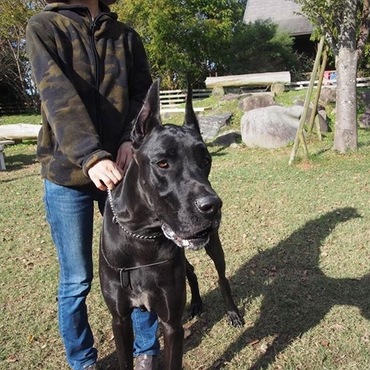 チャーリーの写真