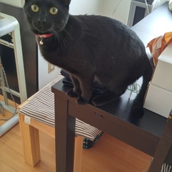 お尻くちゃーい