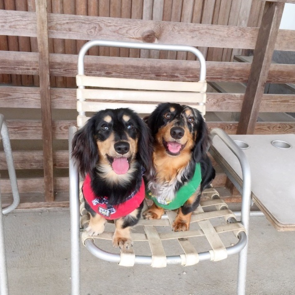 コロンのカバー写真