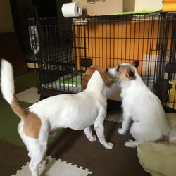 備忘録　オレ③