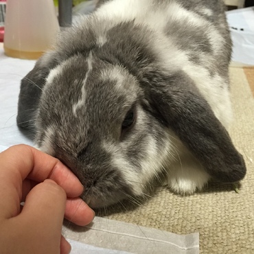 の写真