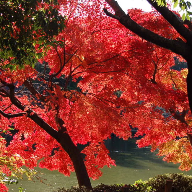 eskianのカバー写真