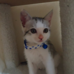 予防接種2回目にて