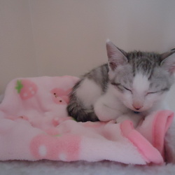 「予防接種2回目にて」サムネイル2