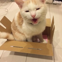 大吟醸