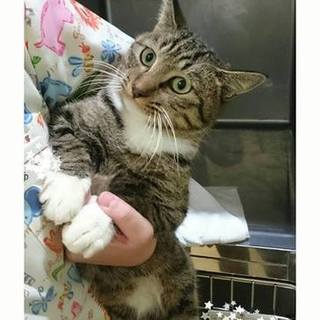 ちょっとビビリですが、太郎です。