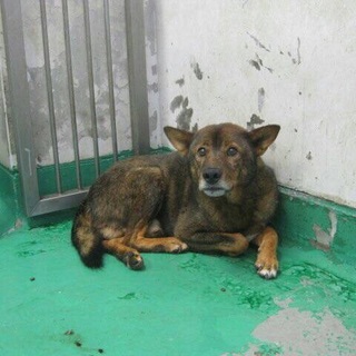 怖くてブルブル震えています＞_＜ 助けて！！