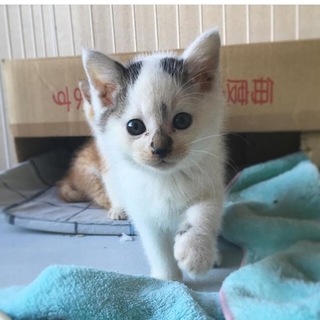 貰ってください^ω^）１ヶ月