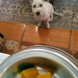 美味しい季節ワン(^_-)-☆