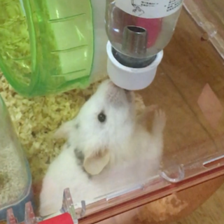 ありがとうございました。