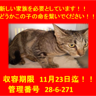 里親決定！！家族ができました(*´▽｀*)