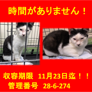 里親決定！！家族ができました(*´▽｀*)