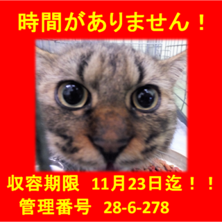 里親決定！！家族ができました(*´▽｀*)