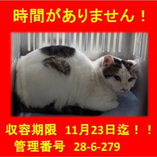 里親決定！！家族ができました(*´▽｀*)