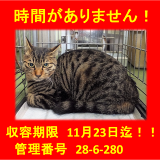 里親決定！！家族ができました(*´▽｀*)