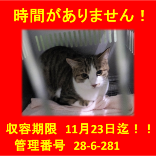 里親決定！！家族ができました(*´▽｀*)