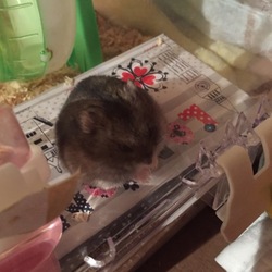 うとうと。。。