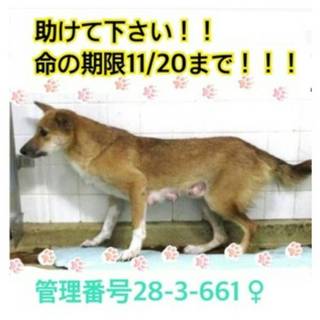 時間がありません！お願いします！！