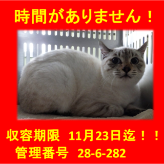 里親決定！！家族ができました(*´▽｀*)