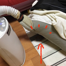 「行方不明？！」サムネイル2