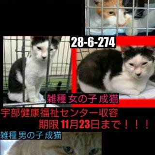 寒いところで怯えています、助けてください！