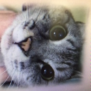 期限が切れています！助けて下さい！