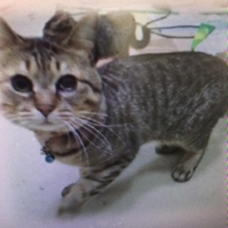 期限が切れています！　助けて下さい！