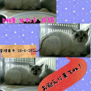 とにかく時間がありません！