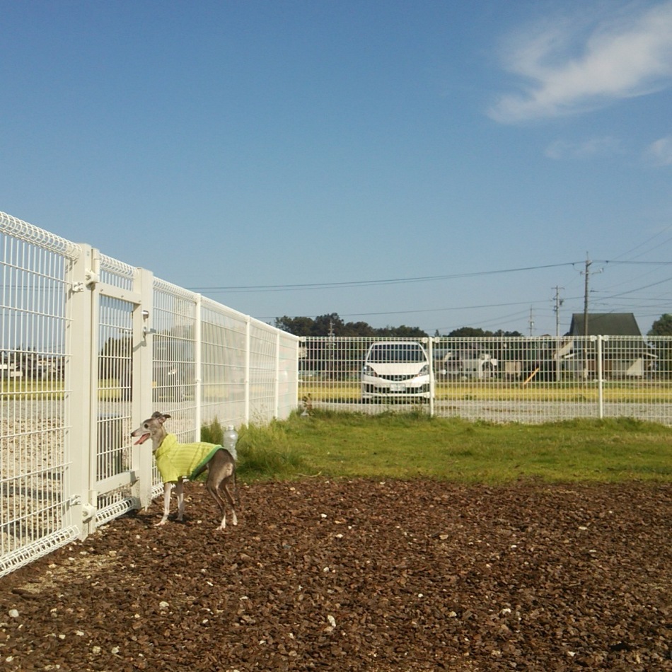 リヴのカバー写真