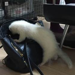 中身が気になる～