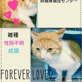 11月22日まで！時間がありません！